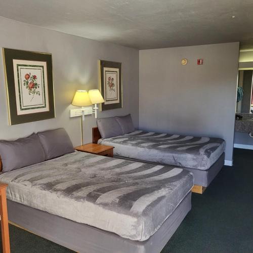 Livingston Apartment | 2 Double Beds Hotel Studio 130