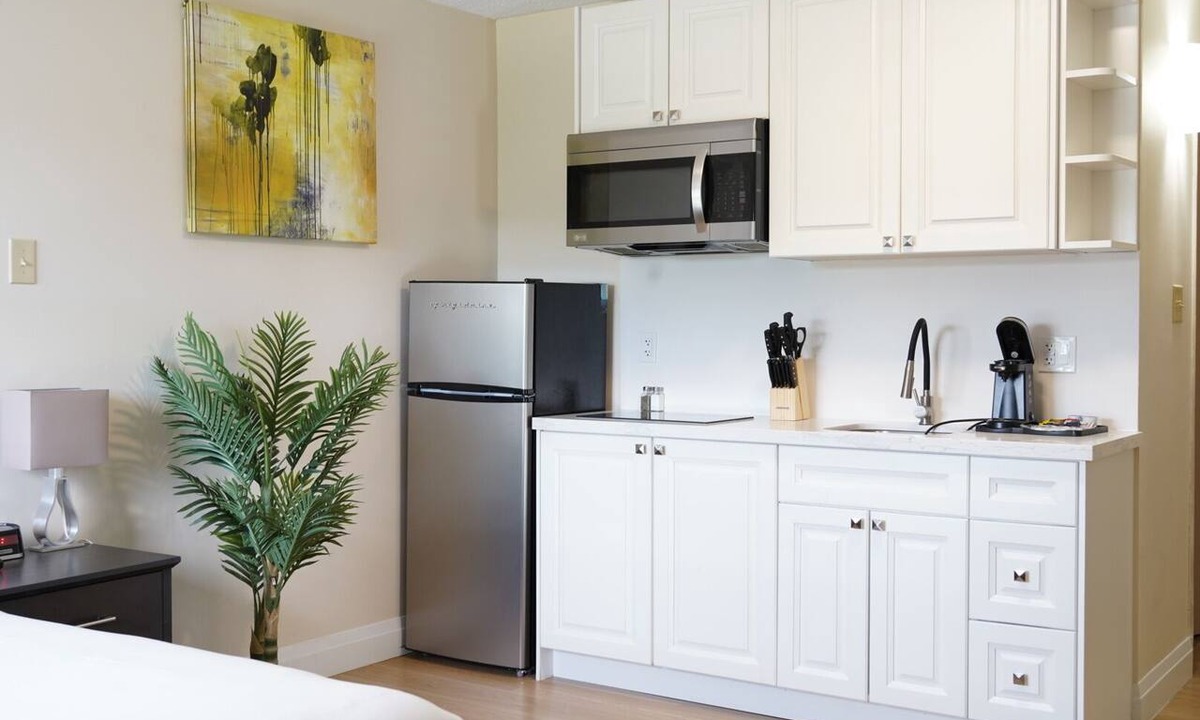Silvertown Apartment | Bachelor Apartment on Niagara Gorge with free breakfast and kitchen.