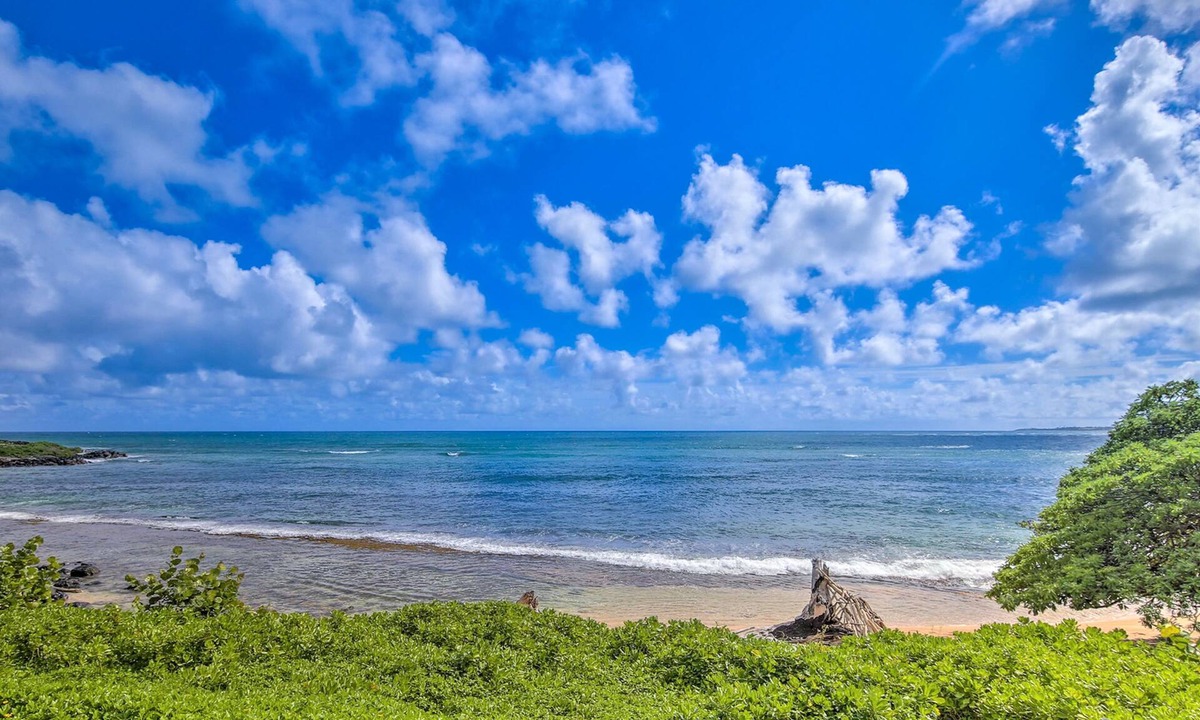 Wailua Condo | Beautiful oceanfront studio on the beach with outdoor pool & full kitchen
