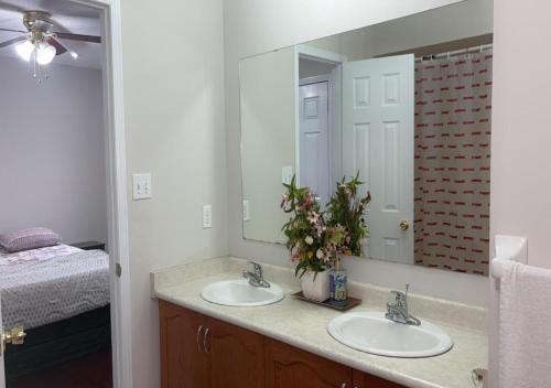 Mount Pleasant House | Beautiful private Room near Toronto pearson Airport