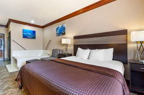 Fort Worth Hotel | Best Western Fort Worth Inn & Suites
