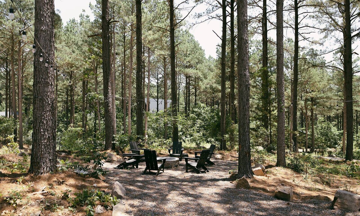 Pickens Cabin | Black Pines – Contemporary A-Frame w/ Fenced-In Yard, Dedicated Work Space