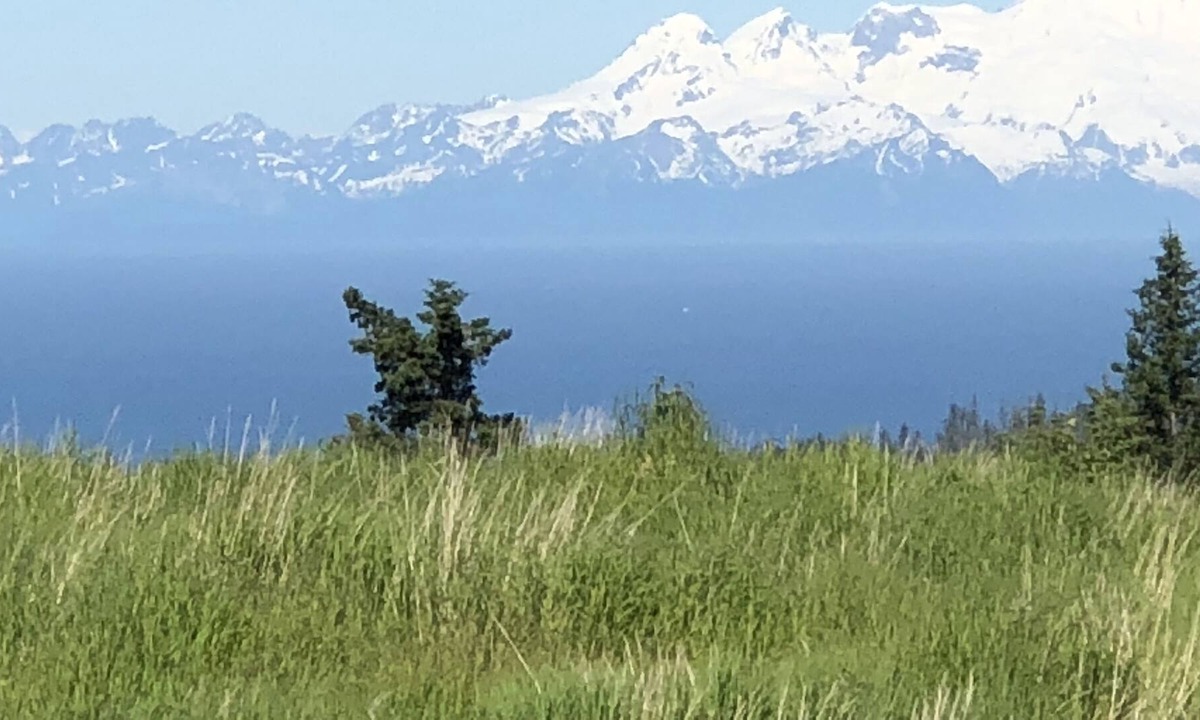 Diamond Ridge Cabin | Breathtaking View and Tranquility: A Rustic -Lovely Homer Experience