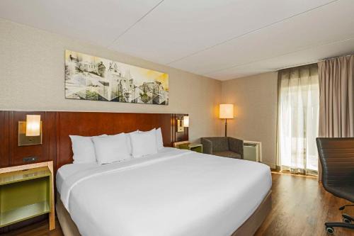 Cambridge Hotel | Comfort Inn Cambridge - Highway 401