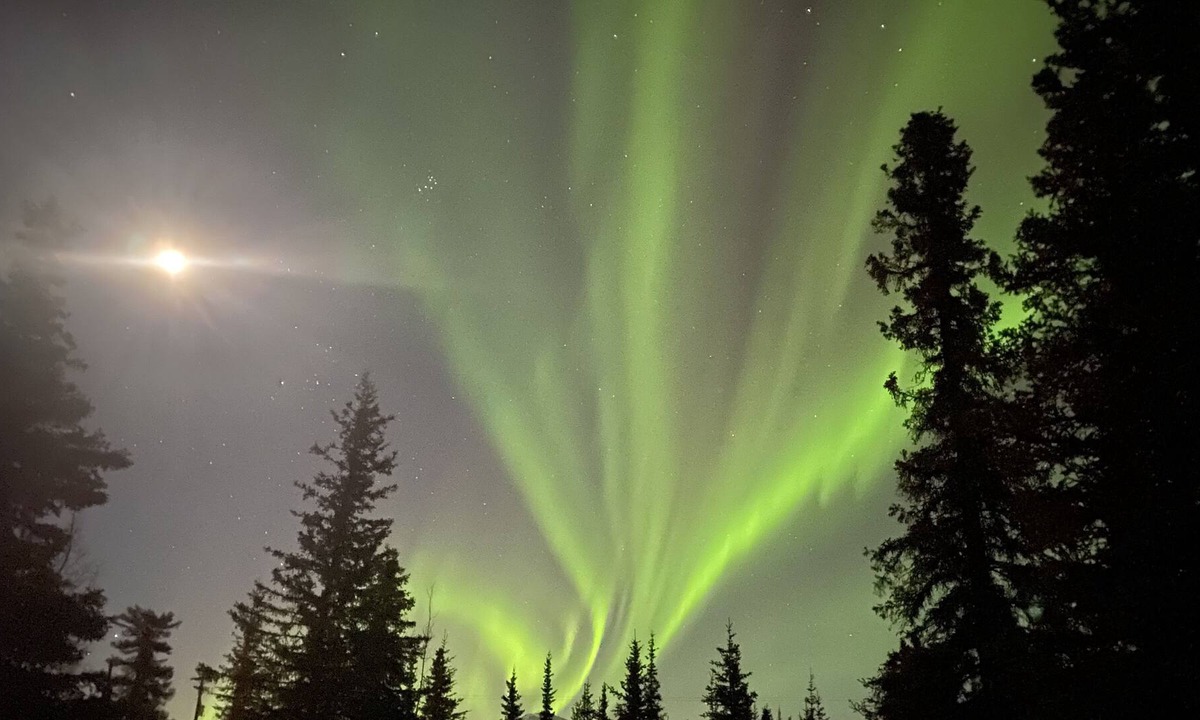 Cantwell Apartment | *Copper Cabin *Studio apartment* *Alaskan comfort near Denali Park* Washer/Dryer