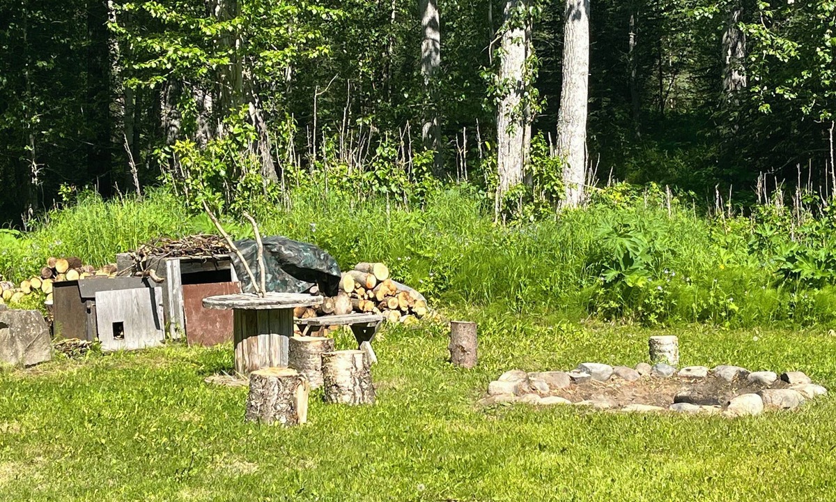 Sutton Cabin | Coyote Cabin in Chickaloon with lake access