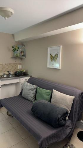 Richmond Hill House | Cozy Private Basement Suite Beside Plaza Free Parking Walk to Groceries & Dining