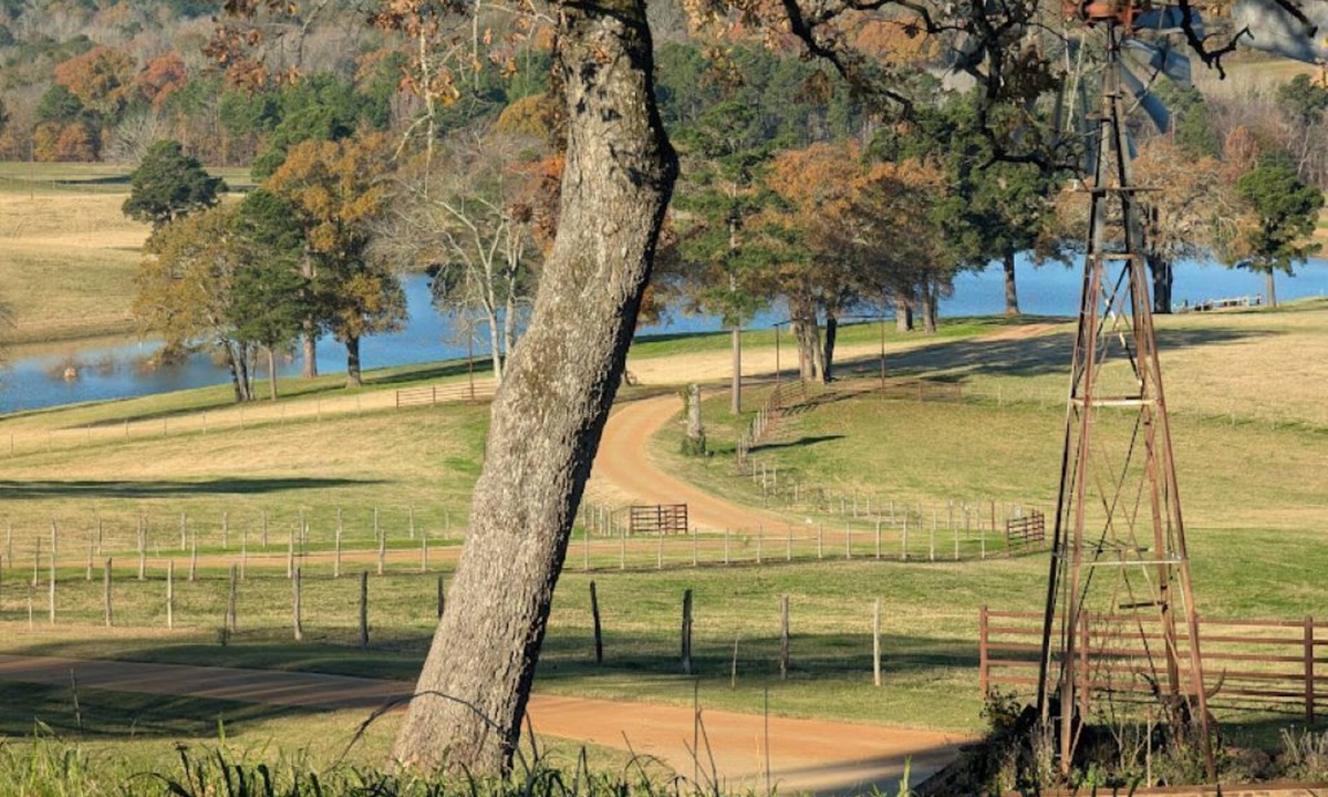 Anderson County House | Cozy RV - Awesome View - Fishing & Pet Friendly!