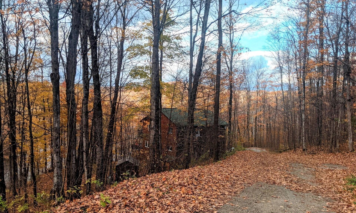 Eagle Lake Cottage | Haliburton Highlands Cottage Retreat - Your summer getaway awaits you!