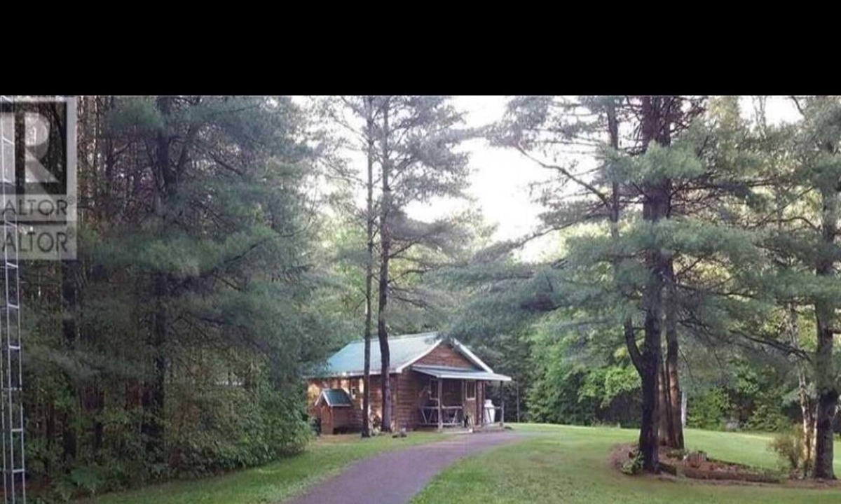 Bishop Corners Cabin | Harlowe Hideaways Cabin in the woods