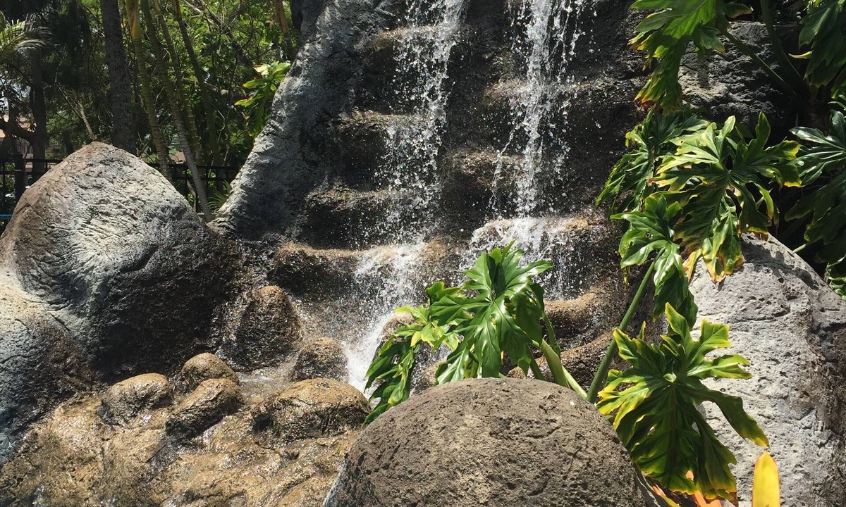 Kapaa Hotel | Hotel Coral Reef