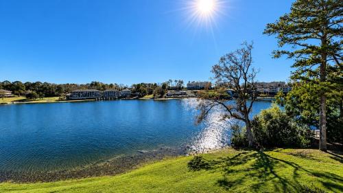 Lake Hamilton Apartment | Lakefront Retreat with Balcony, Pool, Hot Tub, Jacuzzi, Sauna