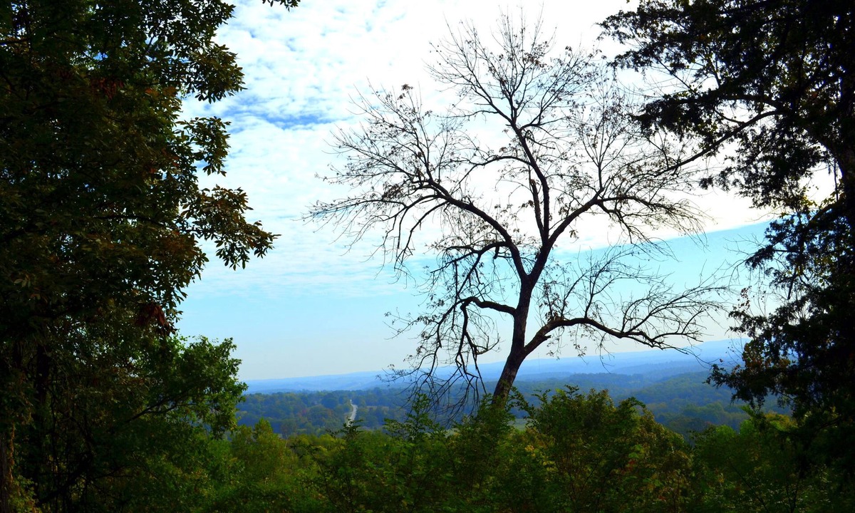 Marshall Cabin | Mountain Retreat Near Buffalo River , Kayaks & Dirt Bike Adventure - -Happy Hawk