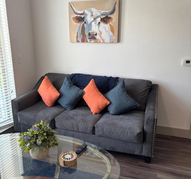 The Colony Apartment | North Texas vacation get away!