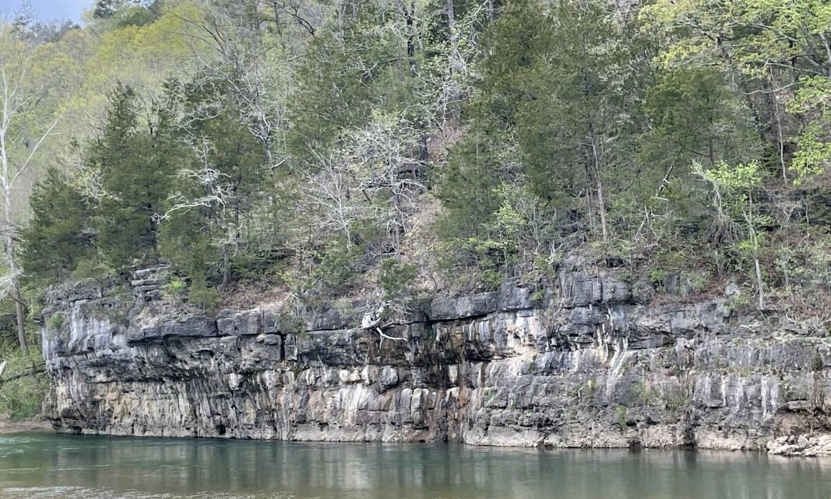 Teresita House | Ozark Getaway! Near Jacks Fork River with Free Parking! Pets Allowed!