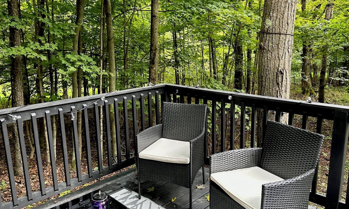 Dushore Cabin | Private Tiny Cabin in Dushore! A Nature Lovers Dream