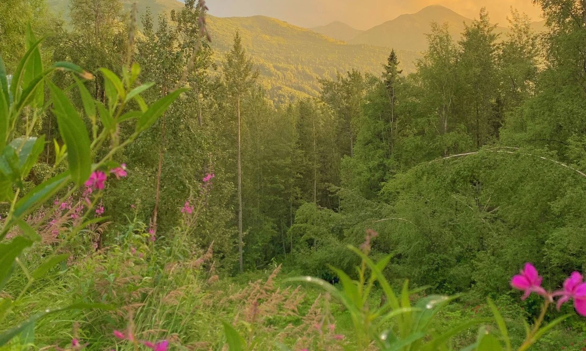 Eagle River House | Relaxing 3BR Creekside Escape in Eagle River w/Hot Tub & Mountain Views