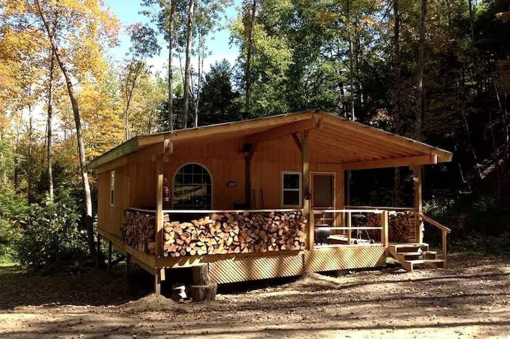 Dalton Cabin | Rustic Creekside Cabin on 100-Acre Forest near Letchworth Park, New York