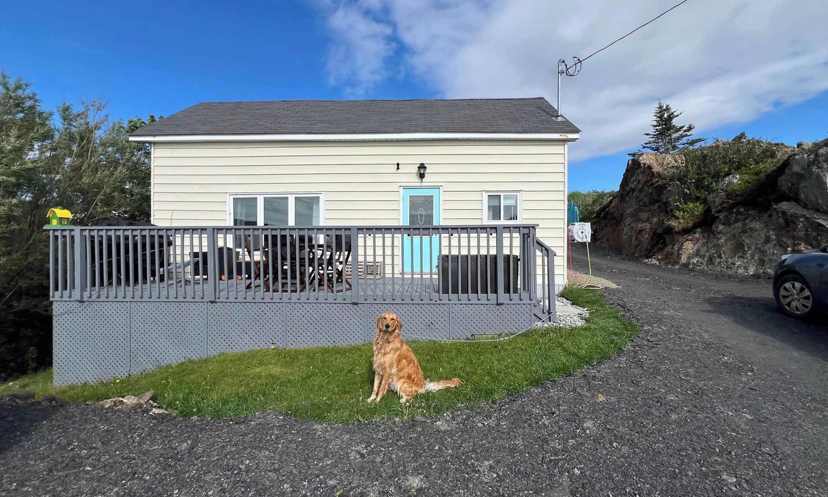Twillingate House | Scout's House