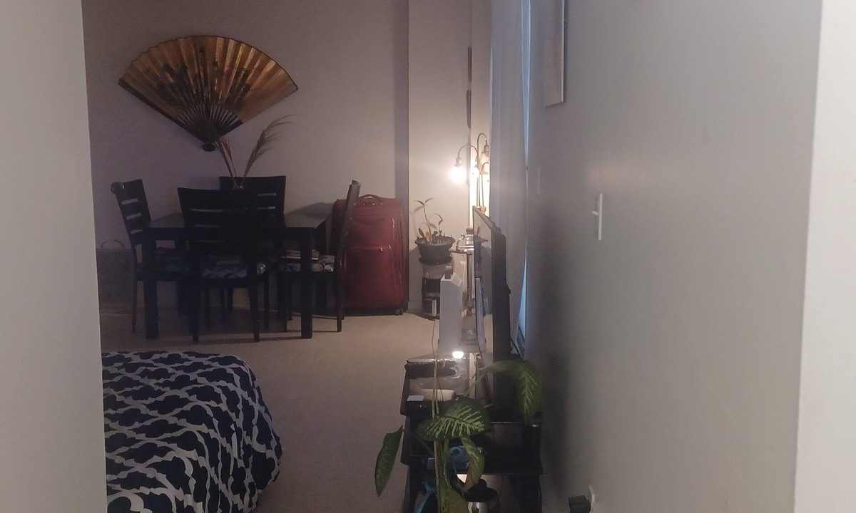 Parc Extension Apartment | Spacious renovated 2 1/2 sleeps 3