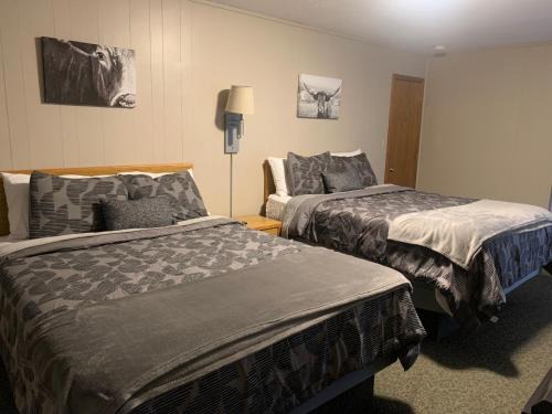 Bloomfield Hotel | Springs Motel