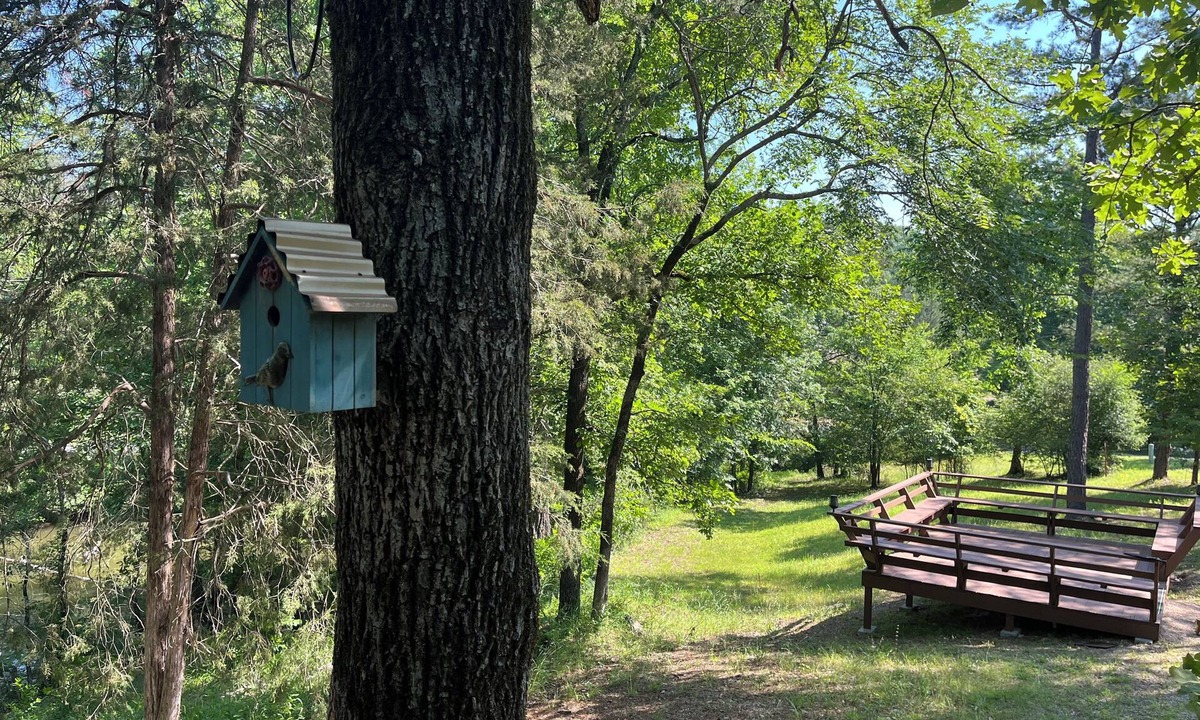 Royal Cabin | The Pecan at Hamilton Cove ~ Cabin Twenty ~ Lakefront ~ Pet Friendly