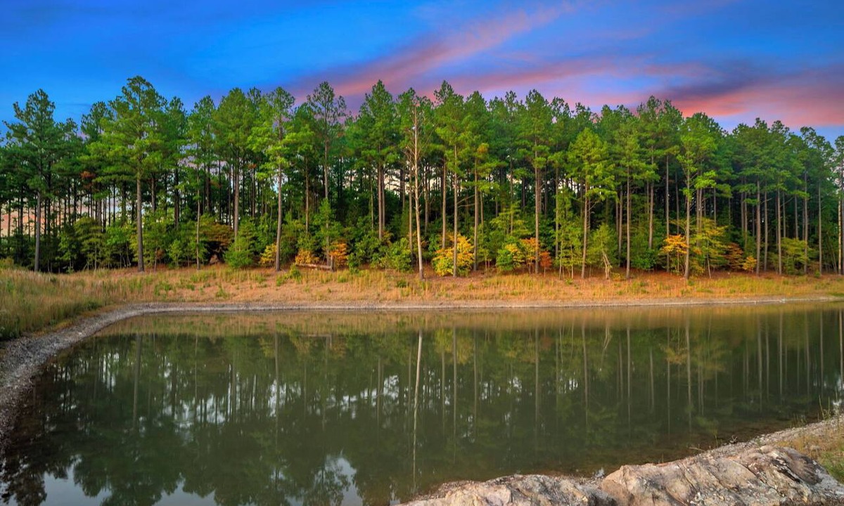 Pickens Cabin | The Unicorn – 8BR Luxury Cabin w/Pool & Pickleball!