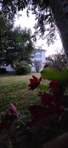 Goulds Bed & Breakfast | Tripp Inn