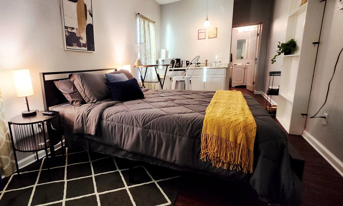 Denton Apartment | Unique Studio Near Presbyterian Hospital, UNT & Denton Square