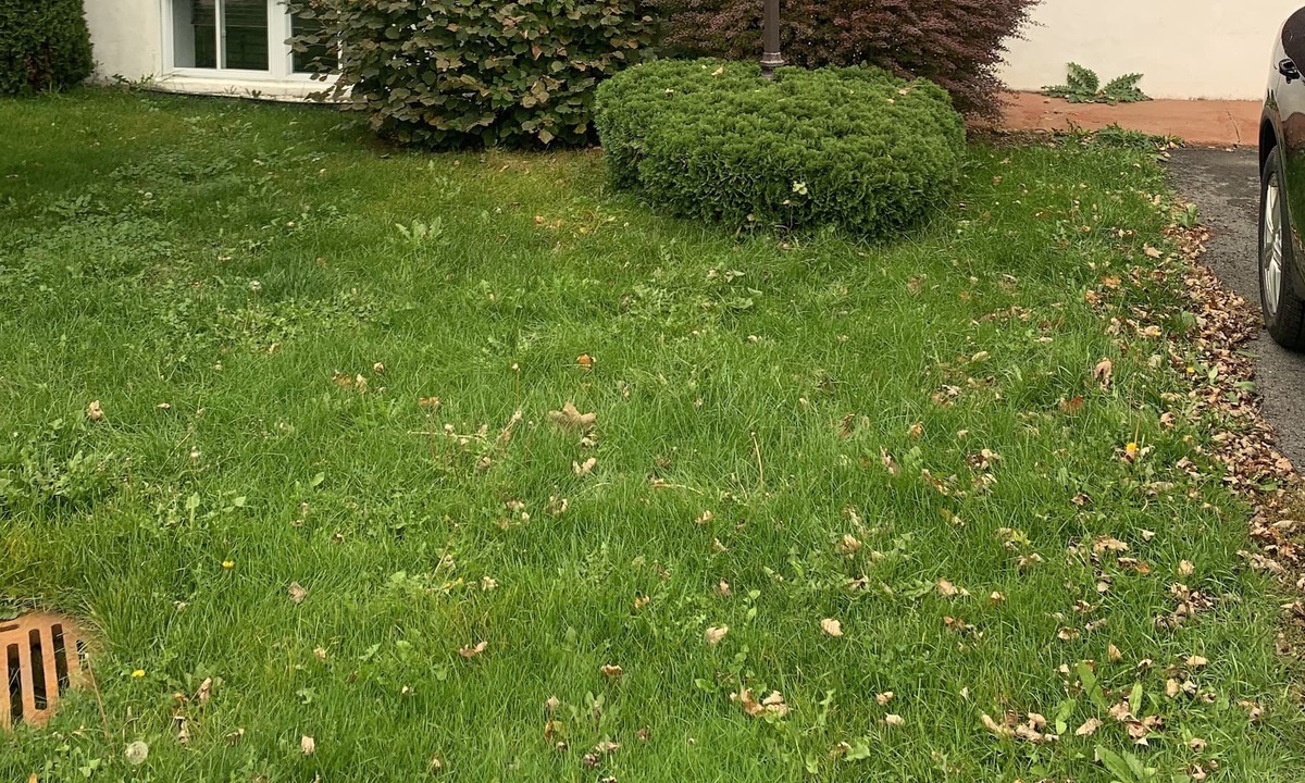 Brossard House | Vrbo Property