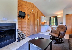 Beautiful cottage in Val-David - Log house #3