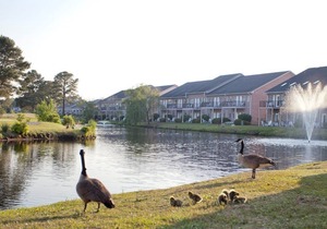 Beautiful studio unit at resort, sleeps 2