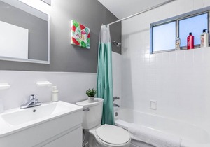 Cozy & Bright 1BR King Apartment - near DT Hamilton!