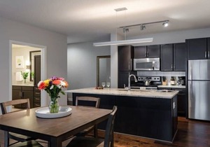 Downtown Dallas CozySuites with gym #2
