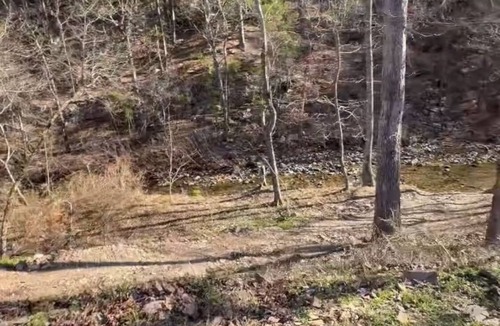 Board Camp Cabin | 2 bedroom/2 bath, sleeps 9, Honey Hole Cabin