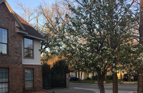 Hurst House | 2Bed 1Bath *Private entry *entire unit