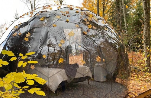 Dysart et al Cottage | 4 Bedroom Cottage with DOME! Hot Tub Sauna WiFi