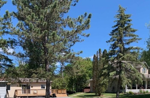 Pleasant Point Cottage | A charming 2 bedroom cottage offering protected boat mooring.