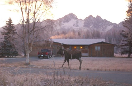 Wasilla House | Abby's Guest Cottage