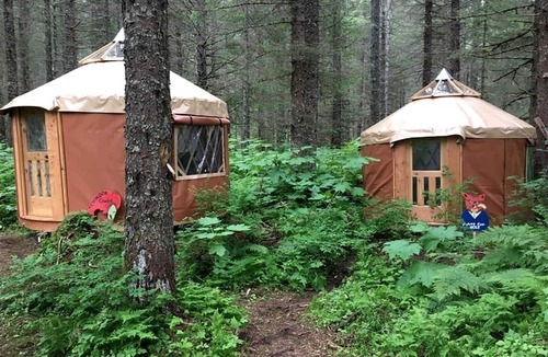 Bear Creek RV Rental | Alaskan Yurt Glamping, Perfect for a Getaway near Seward