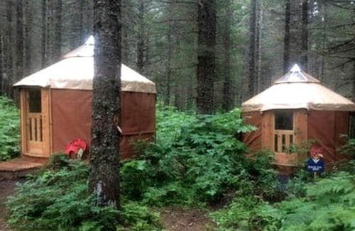 Bear Creek Other | Alaskan Yurt Glamping, Perfect for a Couples Getaway
