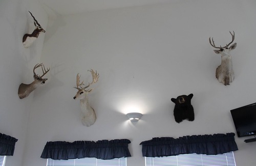 Hart Hotel | American Host Inn
