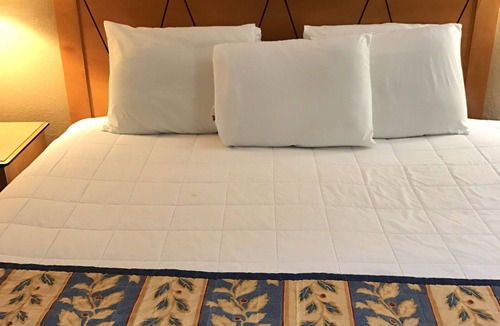Bonanza Hotel | Americas Best Value Inn Laredo