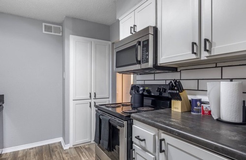 Central Arlington Apartment | Arlington 2BR | AT&T, Globe Life, 6 Flags, Parking