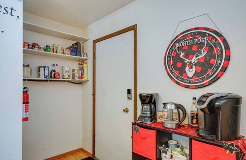 Badger Condo | Aurora Lights on Rural 3 Acre Setting