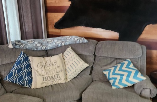 Questa Woods Condo | Bear Den in Seward less than 7 miles from the Waterfront!