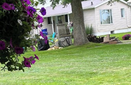 South Glengarry Cabin | Beautiful 2BR Waterfront Cottage! #3nn