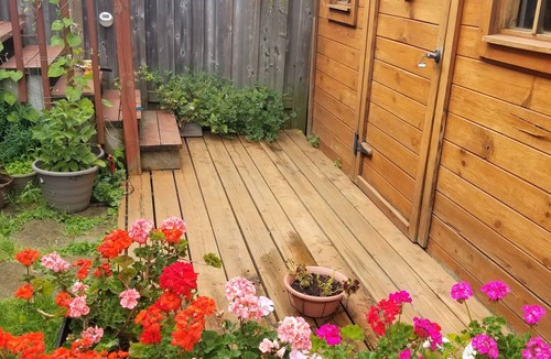 Aurora Apartment | Beautiful, bright walkout basement apartment, close to all amenities