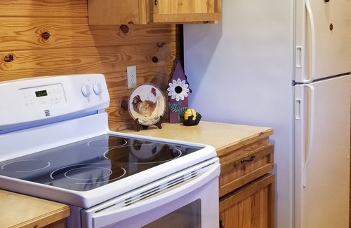 Mountain View Cabin | Beautiful cabin style home backing up on the White River!