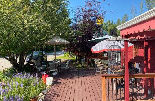 College Hostel | Billie's Backpackers Hostel